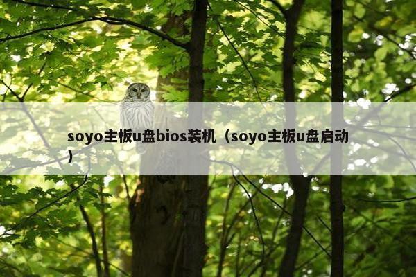 soyo主板u盘bios装机（soyo主板u盘启动）