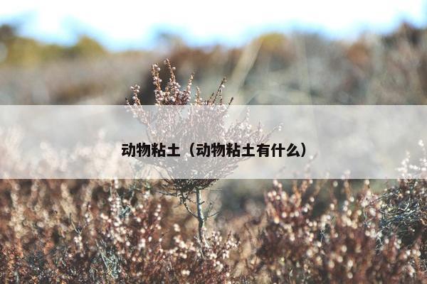 动物粘土（动物粘土有什么）