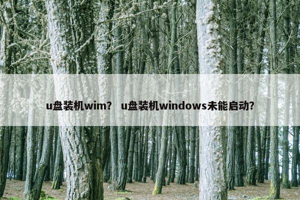 u盘装机wim？ u盘装机windows未能启动？