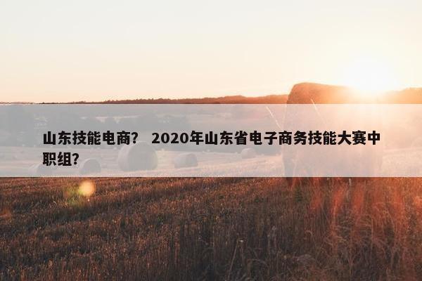 山东技能电商？ 2020年山东省电子商务技能大赛中职组？