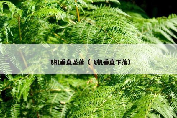 飞机垂直坠落（飞机垂直下落）