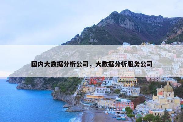 国内大数据分析公司，大数据分析服务公司