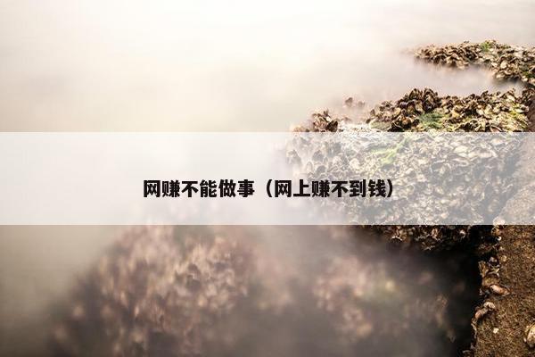 网赚不能做事（网上赚不到钱）