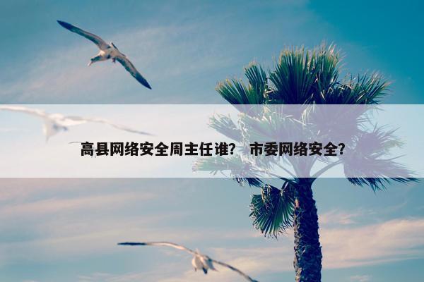 高县网络安全周主任谁？ 市委网络安全？