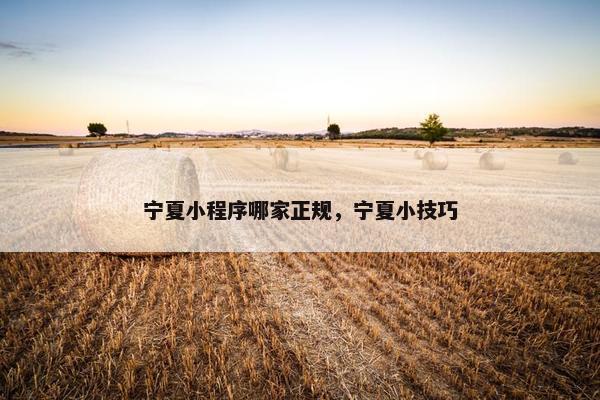 宁夏小程序哪家正规，宁夏小技巧