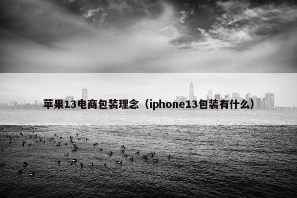苹果13电商包装理念（iphone13包装有什么）