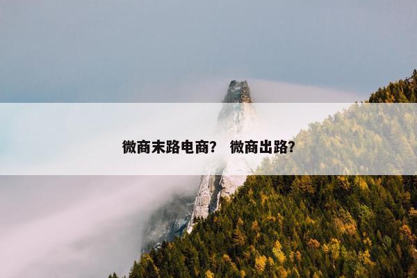 微商末路电商？ 微商出路？