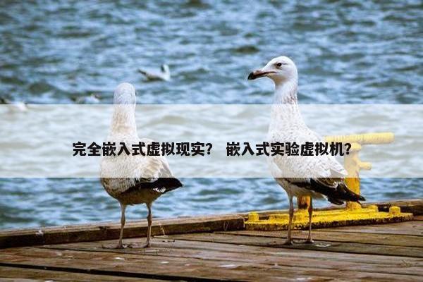 完全嵌入式虚拟现实？ 嵌入式实验虚拟机？