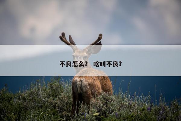 不良怎么？ 啥叫不良？
