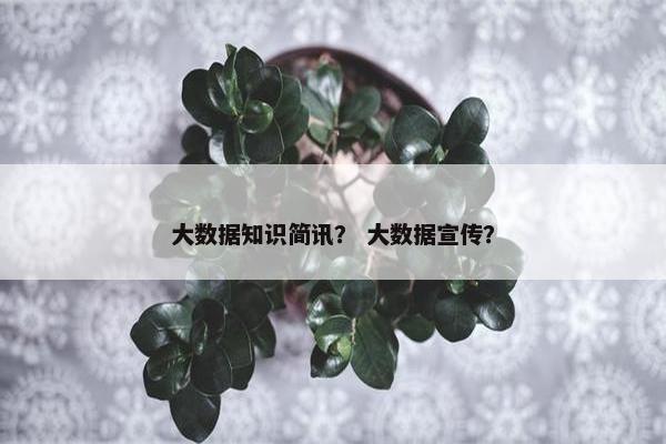 大数据知识简讯？ 大数据宣传？