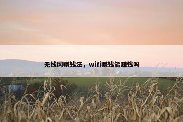 无线网赚钱法，wifi赚钱能赚钱吗