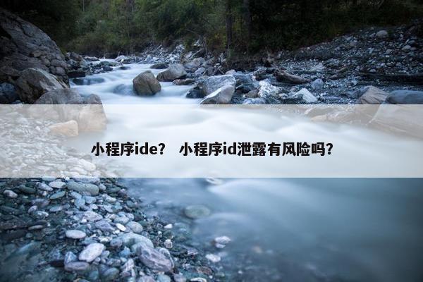 小程序ide？ 小程序id泄露有风险吗？