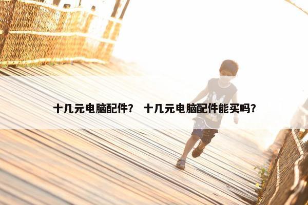 十几元电脑配件？ 十几元电脑配件能买吗？