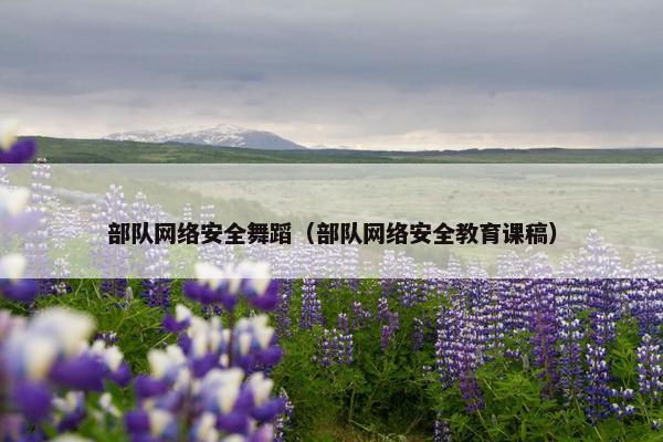 部队网络安全舞蹈（部队网络安全教育课稿）