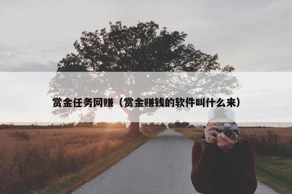 赏金任务网赚（赏金赚钱的软件叫什么来）