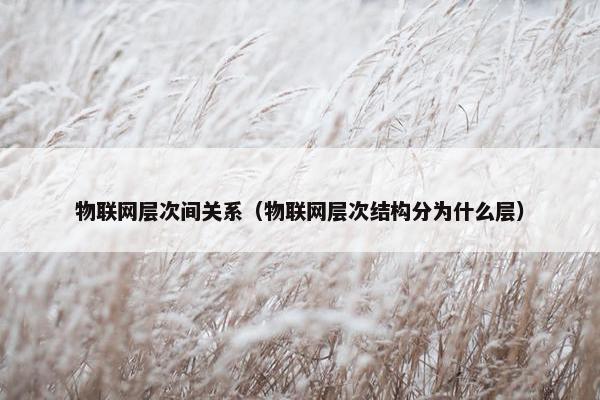 物联网层次间关系（物联网层次结构分为什么层）