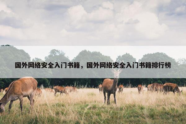 国外网络安全入门书籍，国外网络安全入门书籍排行榜