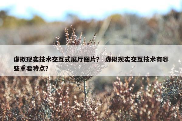 虚拟现实技术交互式展厅图片？ 虚拟现实交互技术有哪些重要特点？