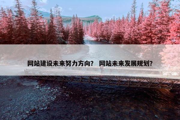 网站建设未来努力方向？ 网站未来发展规划？