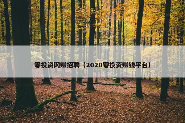 零投资网赚招聘（2020零投资赚钱平台）