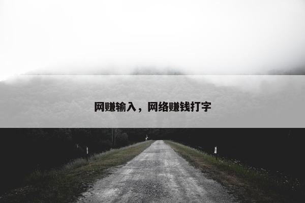 网赚输入，网络赚钱打字