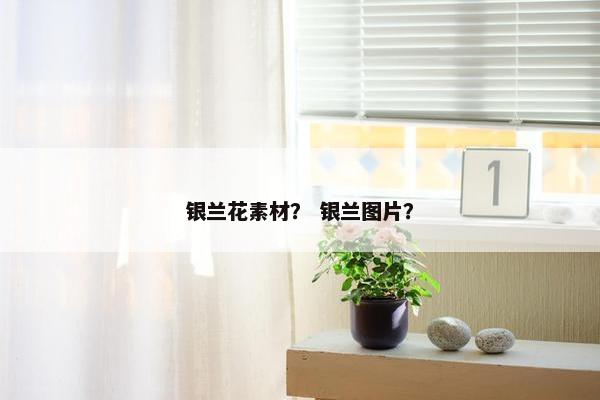 银兰花素材？ 银兰图片？