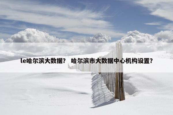 le哈尔滨大数据？ 哈尔滨市大数据中心机构设置？
