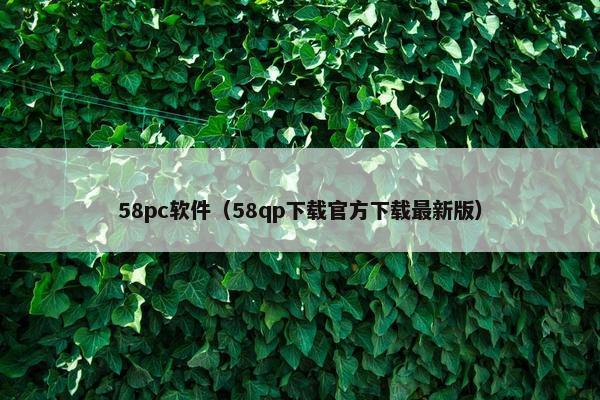 58pc软件（58qp下载官方下载最新版）