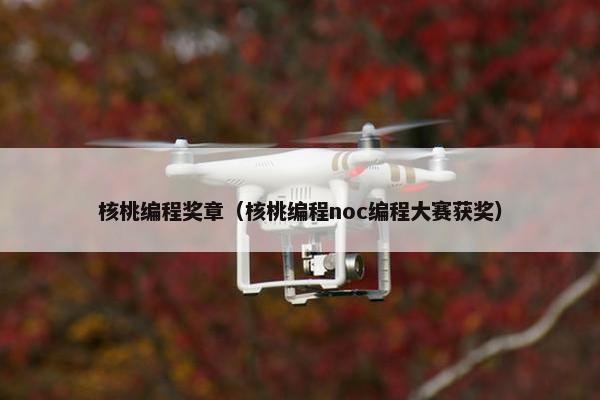 核桃编程奖章（核桃编程noc编程大赛获奖）