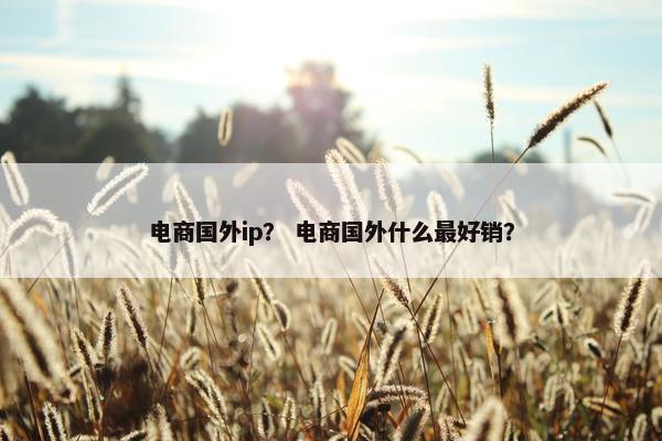 电商国外ip？ 电商国外什么最好销？