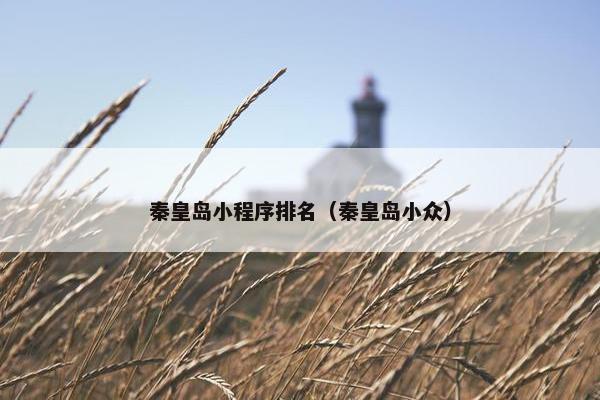 秦皇岛小程序排名（秦皇岛小众）