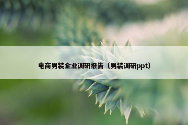 电商男装企业调研报告（男装调研ppt）