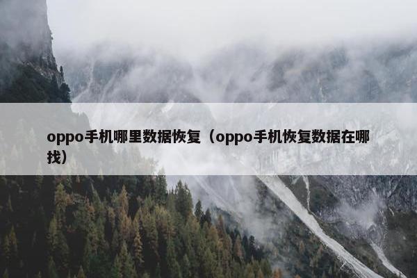 oppo手机哪里数据恢复（oppo手机恢复数据在哪找）