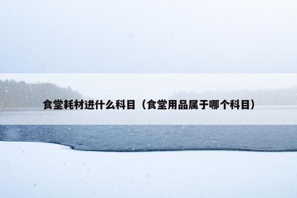 食堂耗材进什么科目（食堂用品属于哪个科目）