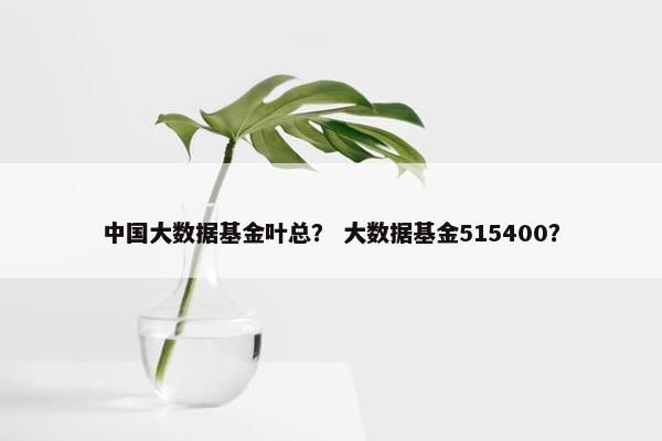 中国大数据基金叶总？ 大数据基金515400？