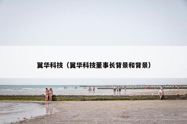 翼华科技（翼华科技董事长背景和背景）