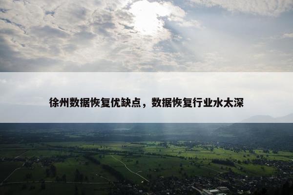 徐州数据恢复优缺点，数据恢复行业水太深