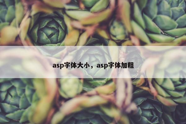 asp字体大小，asp字体加粗
