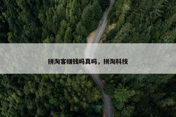 拼淘客赚钱吗真吗，拼淘科技