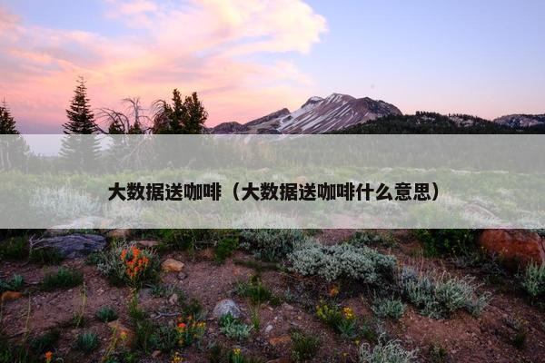 大数据送咖啡（大数据送咖啡什么意思）