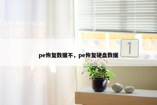 pe恢复数据不，pe恢复硬盘数据
