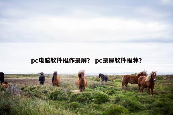 pc电脑软件操作录屏？ pc录屏软件推荐？