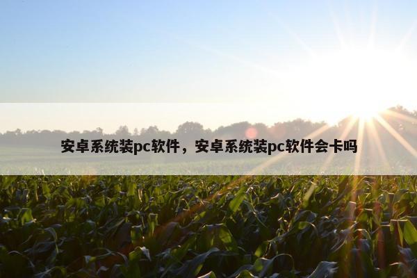 安卓系统装pc软件，安卓系统装pc软件会卡吗