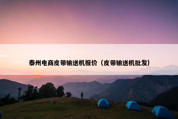 泰州电商皮带输送机报价（皮带输送机批发）