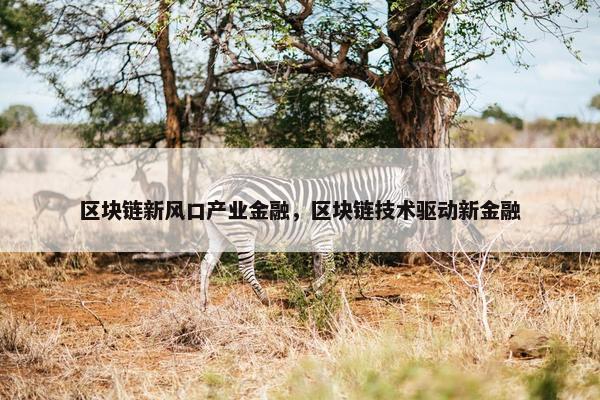 区块链新风口产业金融，区块链技术驱动新金融