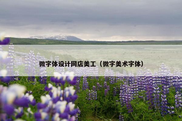微字体设计网店美工（微字美术字体）