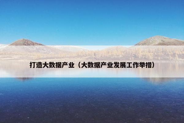 打造大数据产业（大数据产业发展工作举措）