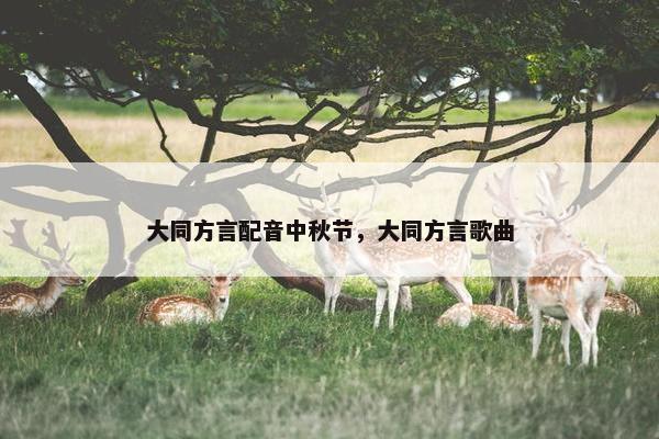 大同方言配音中秋节，大同方言歌曲