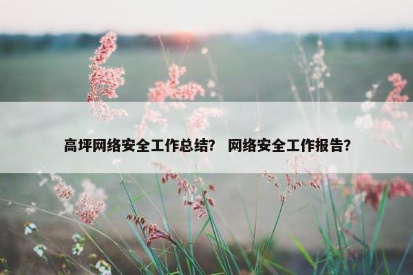 高坪网络安全工作总结？ 网络安全工作报告？