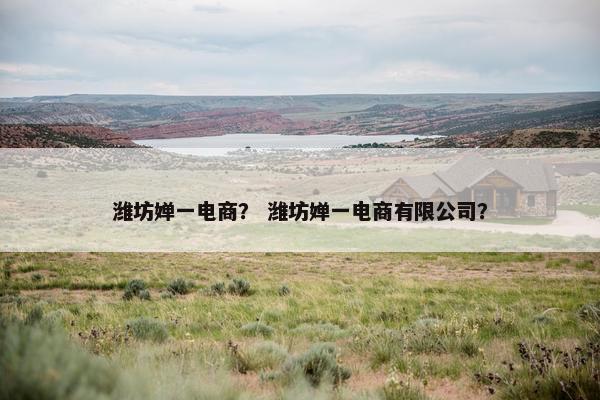 潍坊婵一电商？ 潍坊婵一电商有限公司？